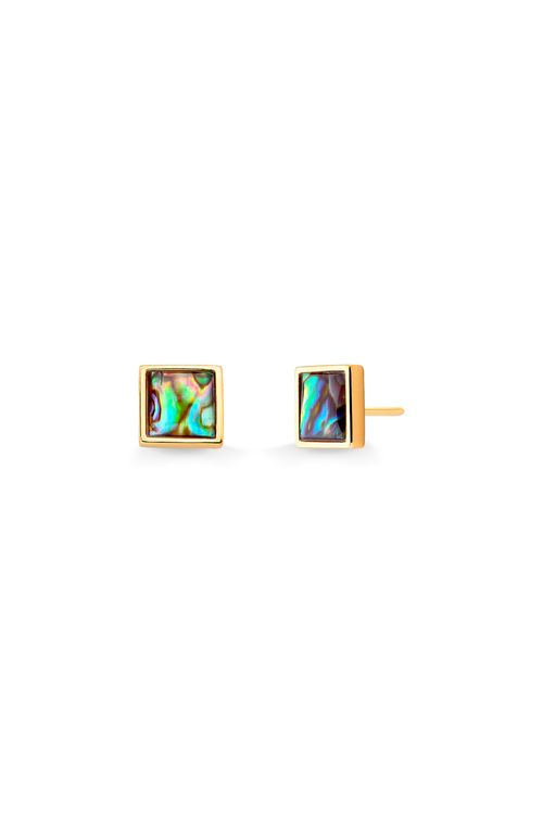 Brinco Block - Abalone – Coleção Legno Banho: Folheado a Ouro